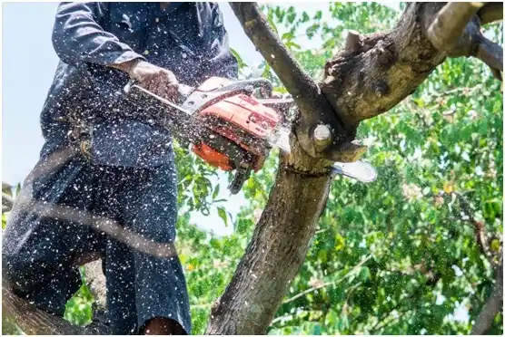 tree services Walla Walla East